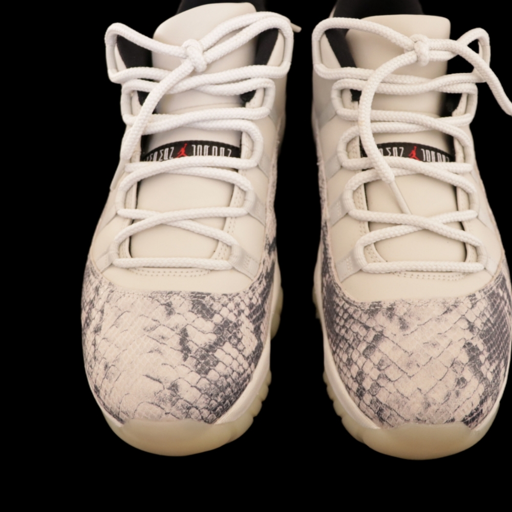Air Jordan 11 Retro Low